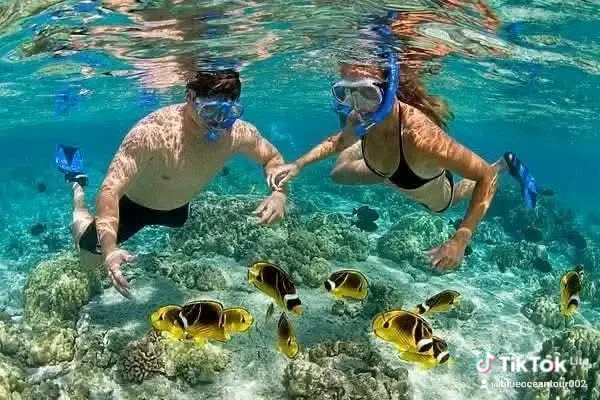 Kisite Marine Park & Wasini Island — Vanta Ocean Adventure